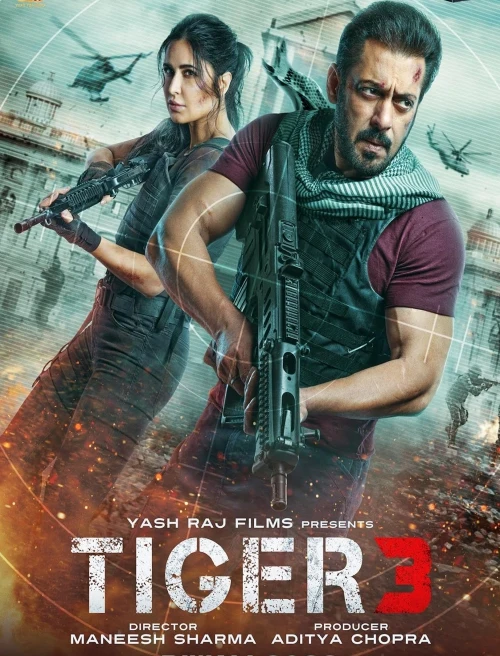 Tiger 3 movie